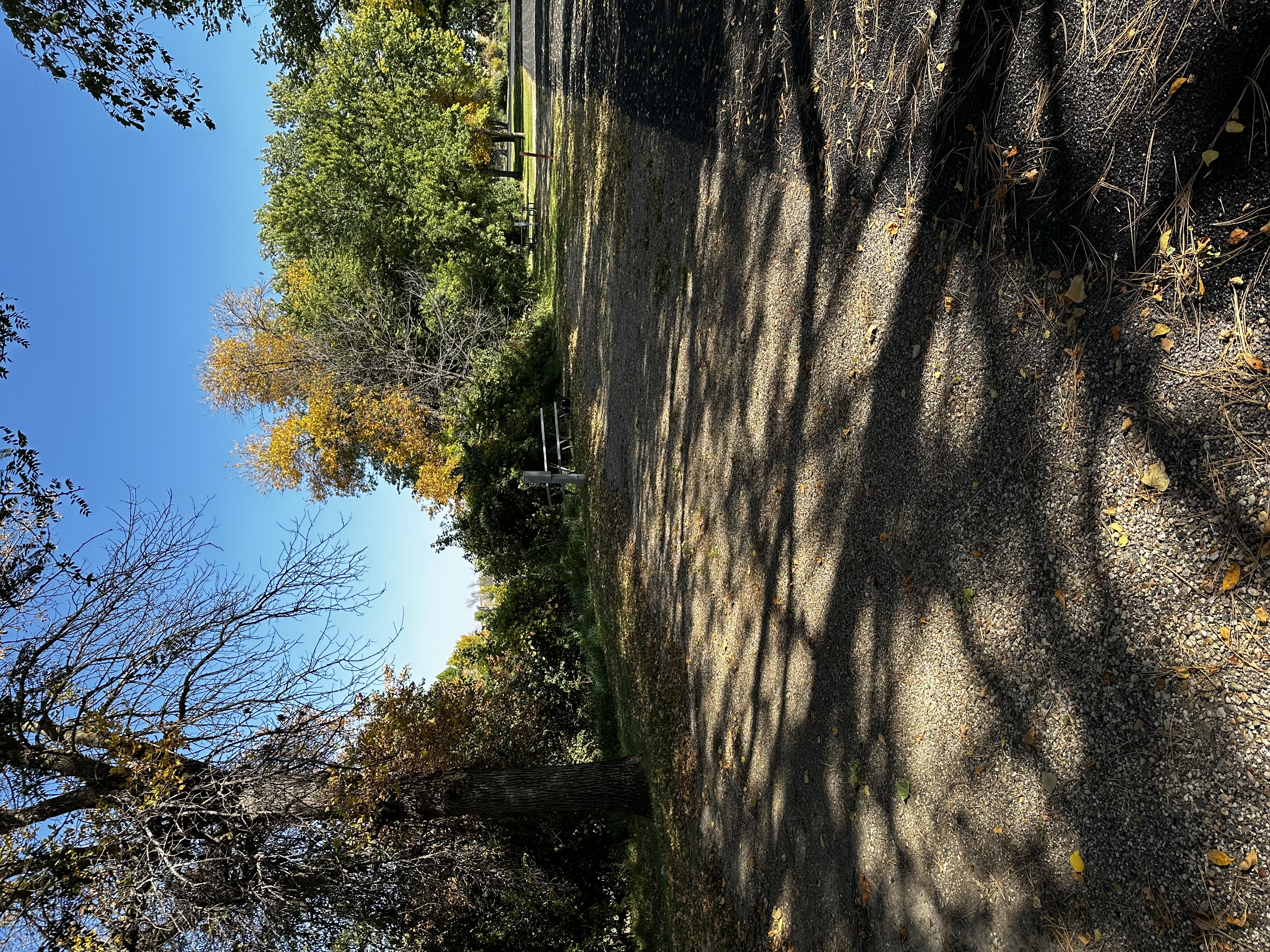 Campsite info page