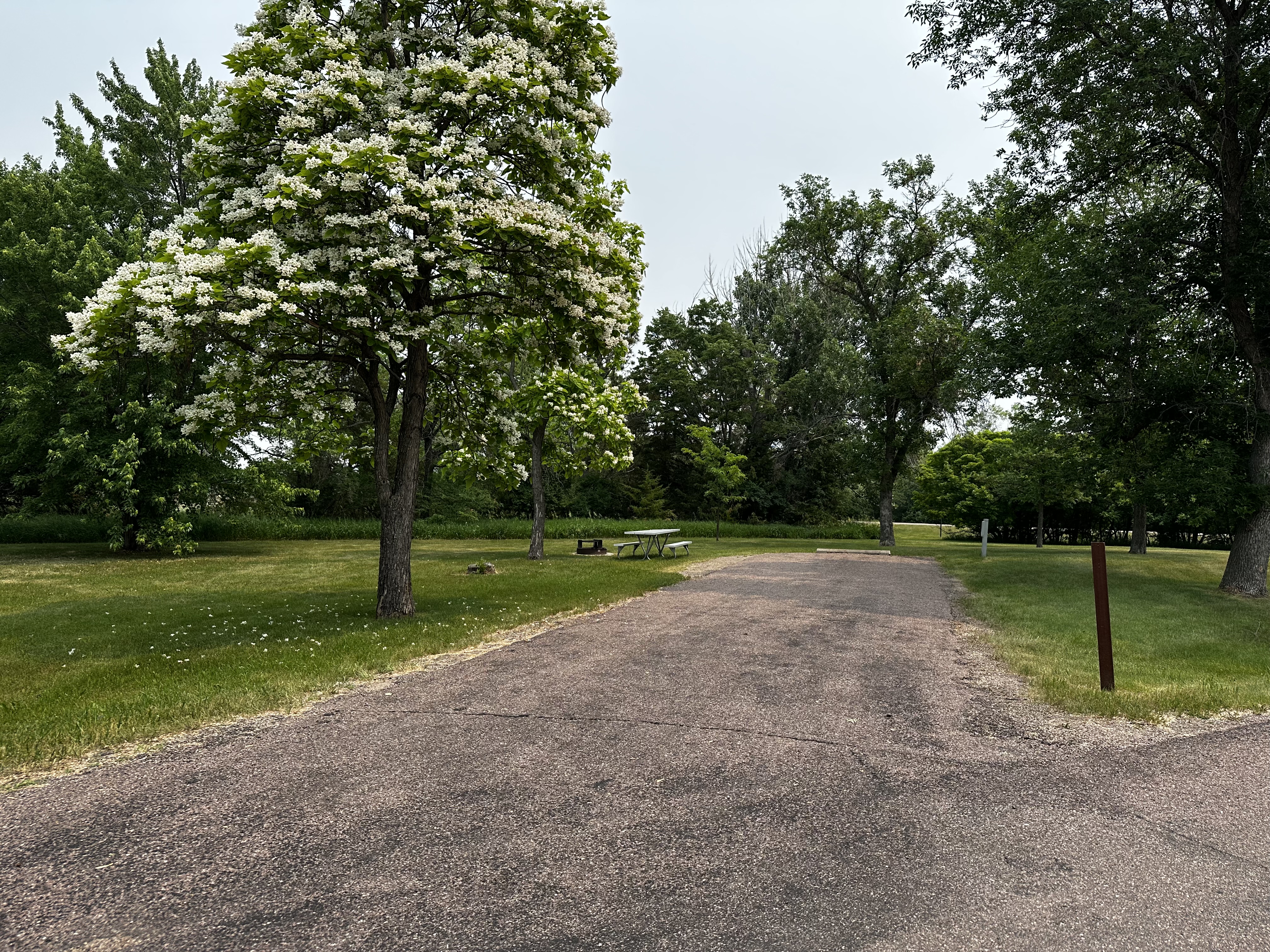 Campsite info page
