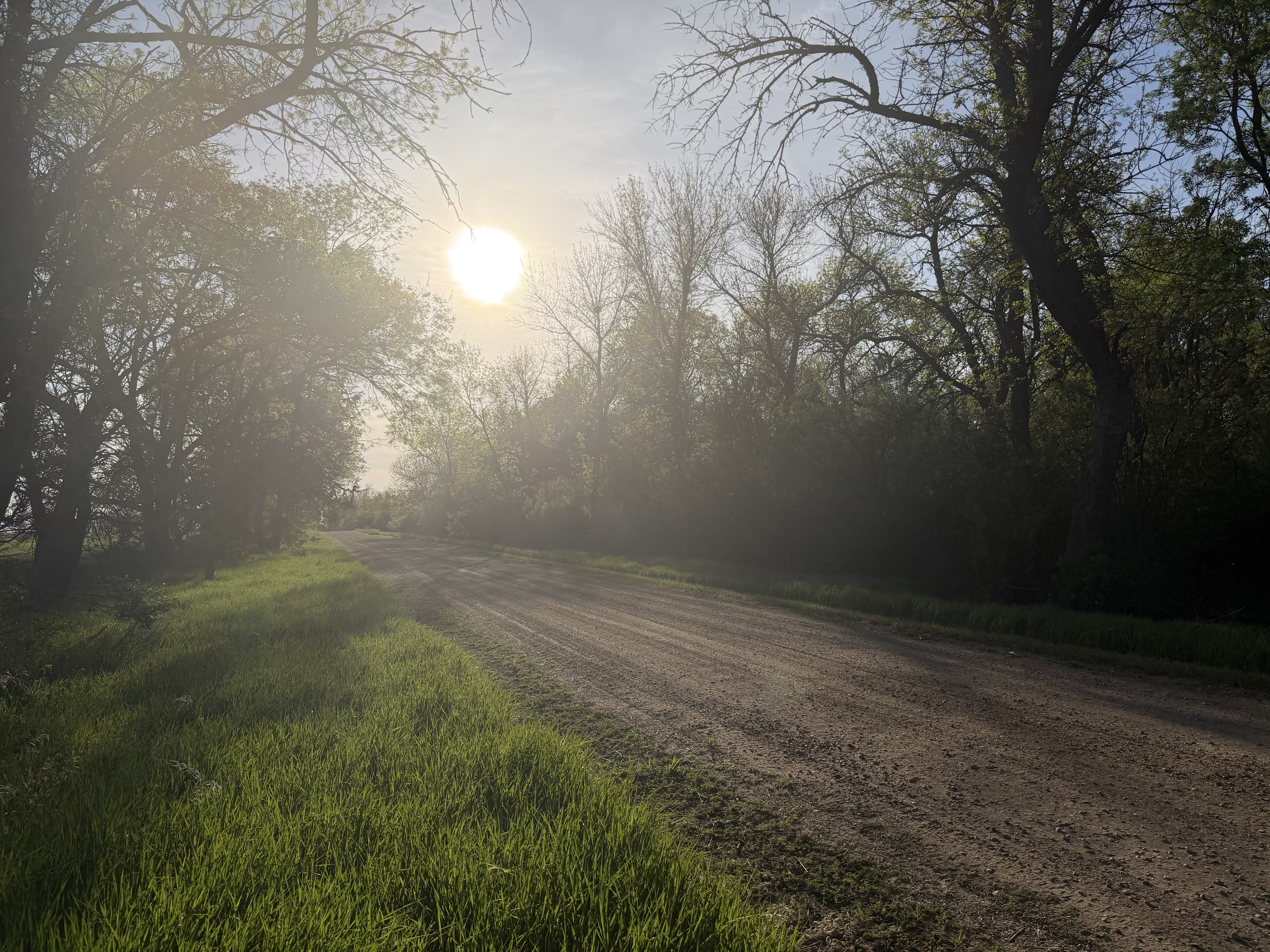 Campsite info page